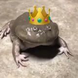 Тетрадь по всём | Юля Шумакова