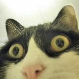 Мемы в гс🎙