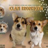 Питомник 🐶CLAN IRONHORN🐶 corgi🐶корги🐶