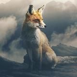 Кветиапин и скрипка лиса