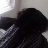 медиазвезда