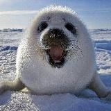 Говорит Байкал