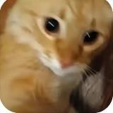 Сумакотик 😼