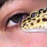 𝚌𝚑𝚊𝚝𝚒𝚔 💓