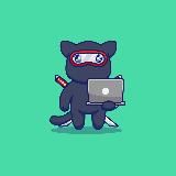 CryptoNinja🥷🏻