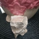 Gruppo amanti delle Meraviglie è del Papavero 💚💊😴🎉