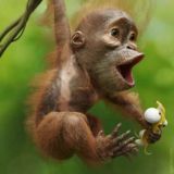 Видео приколы