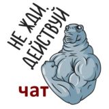 чат криптоблокнот