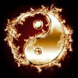 ☯️•☯️•☯️• 𝙔𝙞𝙣-𝙔𝙖𝙣𝙜 •☯️•☯️•☯️