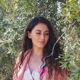 Истории со Святой Земли