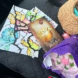 «Дневник жизни» | Елена Гомина