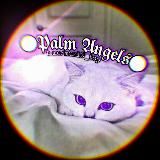 𝔓𝔞𝔩𝔪 𝔄𝔫𝔤𝔢𝔩𝔰🇺🇦