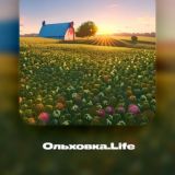 Ольховка.Life