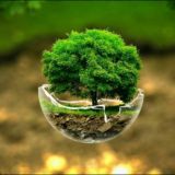 🏧Biologiya va kimyo 👩🏻⚕👨🏻⚕😁