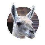 Вы в научпопе!🇦🇷