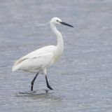 PRODUCERS’ CITY CHAT