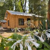 База отдыха Карасёв Chat