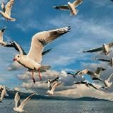 ᴍᴇᴍᴏʀɪᴇs ᴏᴜʀ 🖇