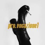 Pro.vocazione1