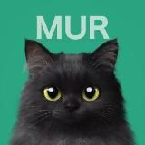 МурЧатЗдесь