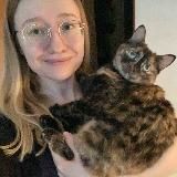 Кошачий Контент