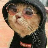 Boş yapmaya geldik gençler😈