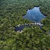 Stoppt den Ökozid! Kongo-Becken erhalten! ❤️🔥 Stop the ecocide! Preserve the Congo Basin! ✊