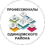 Профессионалы Одинцово