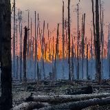 Militaryclip Telegram