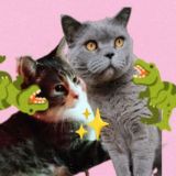 чат в Шалаше 🦖✨