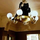 (слу)чайные посиделки