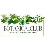 Botanica_plants