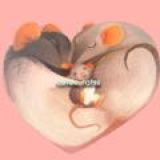 cutee.ratss