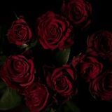 Arcan ТАРО🥀РАСКЛАДЫ