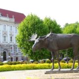 Чат_Советск39