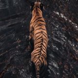 Нейро🧬Беседы