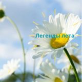 Легенды лета