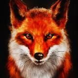 ЛИСА ТРЕЙДЕР - ОТЗЫВЫ