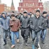 Мы, мигранты