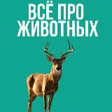 Всё про животных