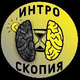 Интроскопия