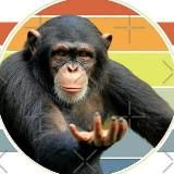 Caverna do Calvão Stylics