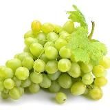 GRAPE | SOCCER MANAGER 25 - WORLD SOCCER CHAMPS