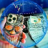 Теневой Финансист