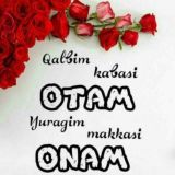 🦋🌷M͜͡E͜͡H͜͡R͜͡I͜͡B͜͡O͜͡N͜͡L͜͡A͜͡R͜͡I͜͡M͜͡🌸🌜🌚