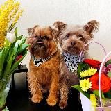 Гэна, Бублик и Гэри