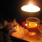 •женя диер о важном•