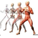 ❗ЛФК ФИТНЕС ДИЕТОЛОГИЯ РЕАБИЛИТАЦИЯ МАНУАЛЬНАЯ ТЕРАПИЯ БИОХИМИЯ