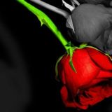 💘💘FaRxOd va,💘💕 ShiRiN RoMaNtIkA💞💞💞💞💞