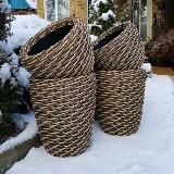 Сад моей души - «Cinderella»